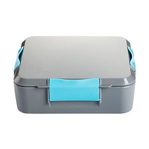 Little Lunch Box Co Bento Three+ Grau