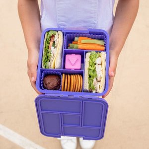 Little Lunch Box Co "Bento Five" Uni Traube