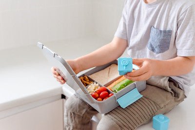 Little Lunch Box Co Bento Three+ Grau